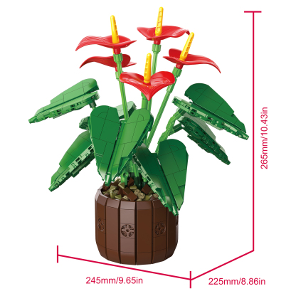 The Red Anthuriums Story