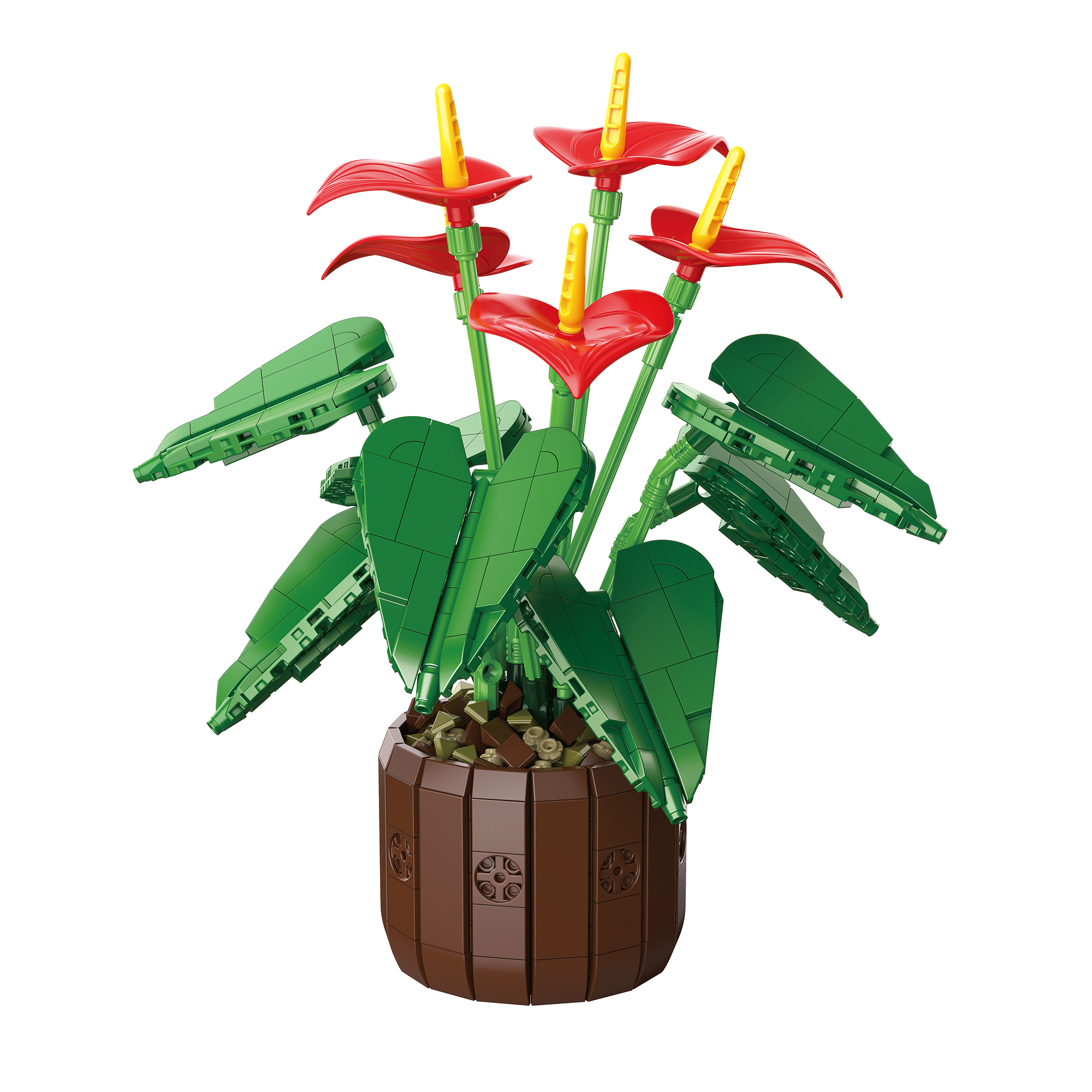 The Red Anthuriums Story