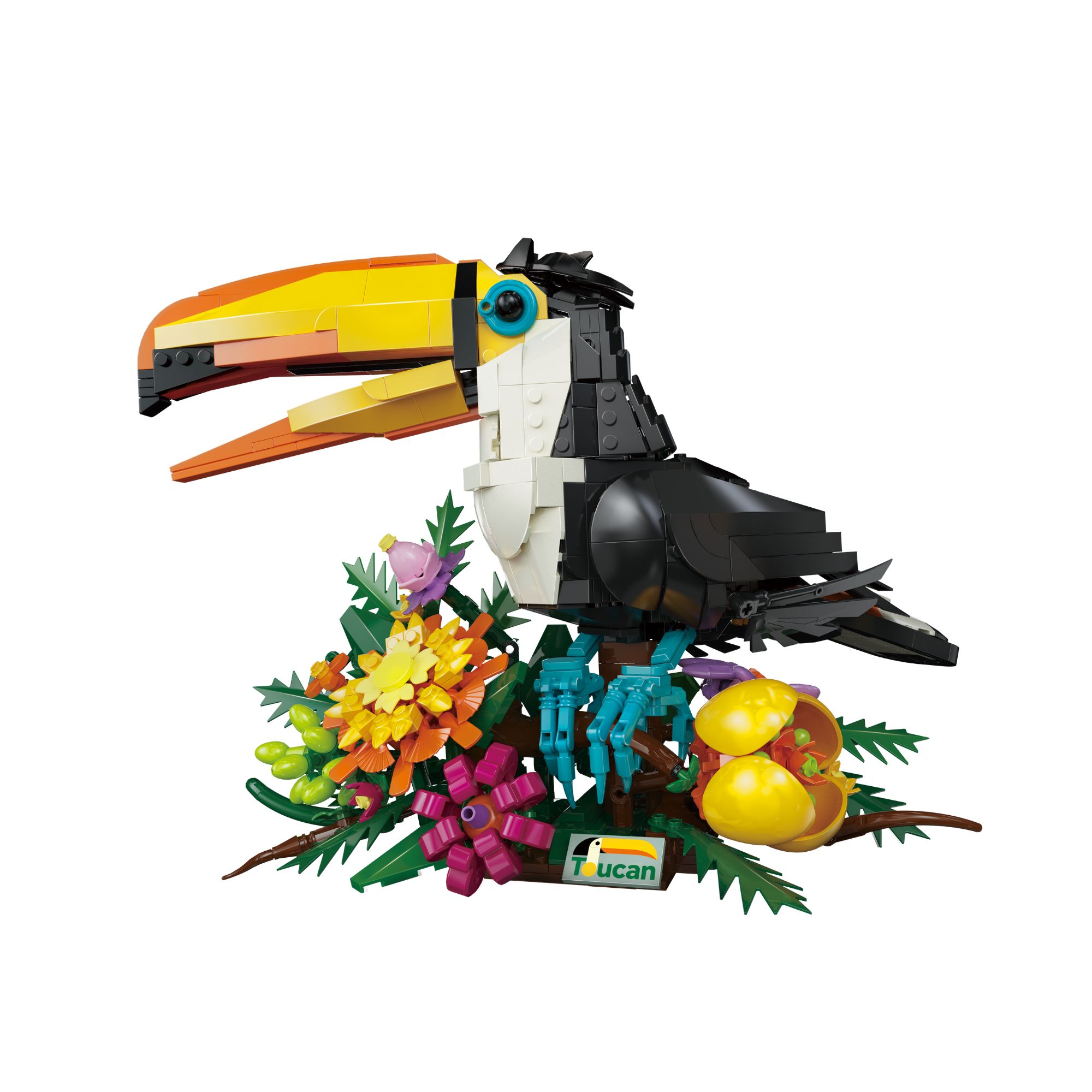 The Rainforest Toucan