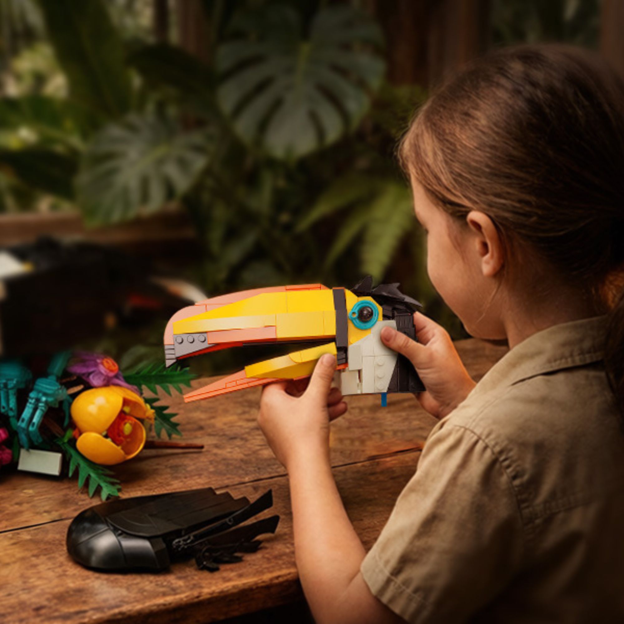 The Rainforest Toucan