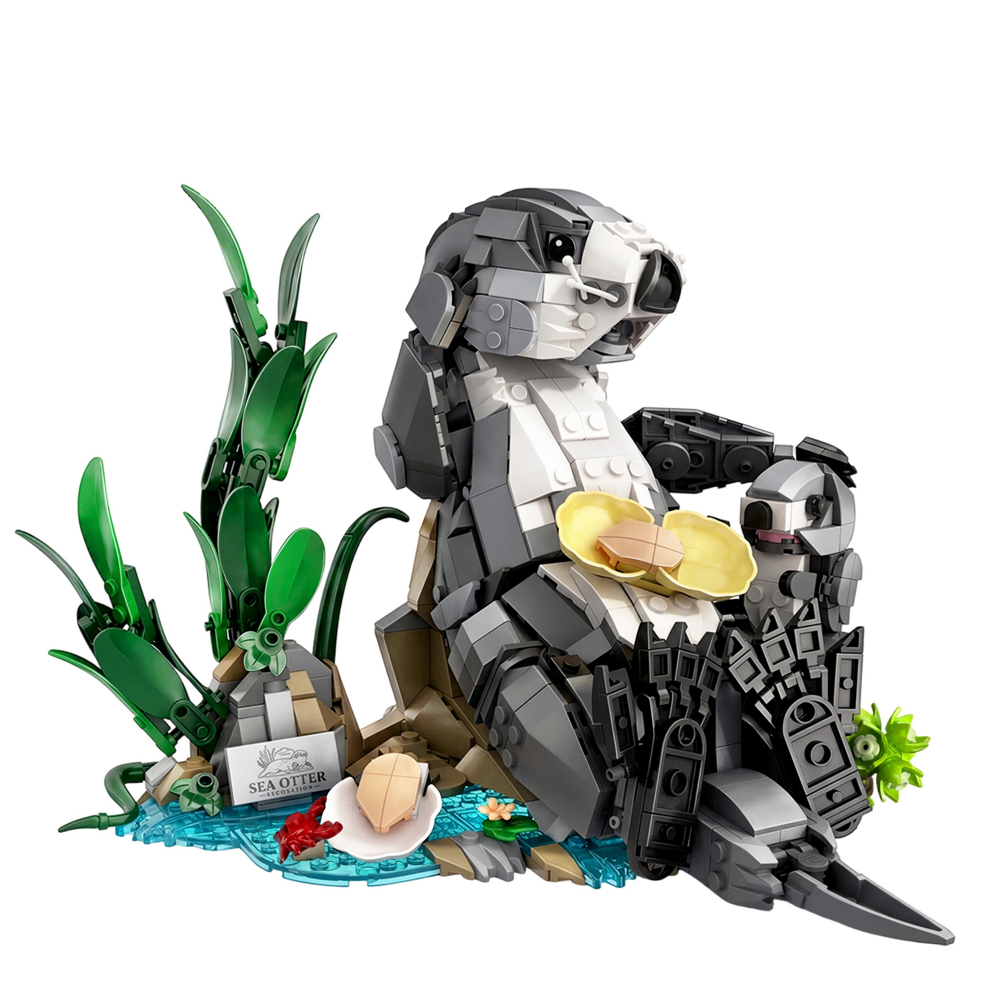 The Sea Otter