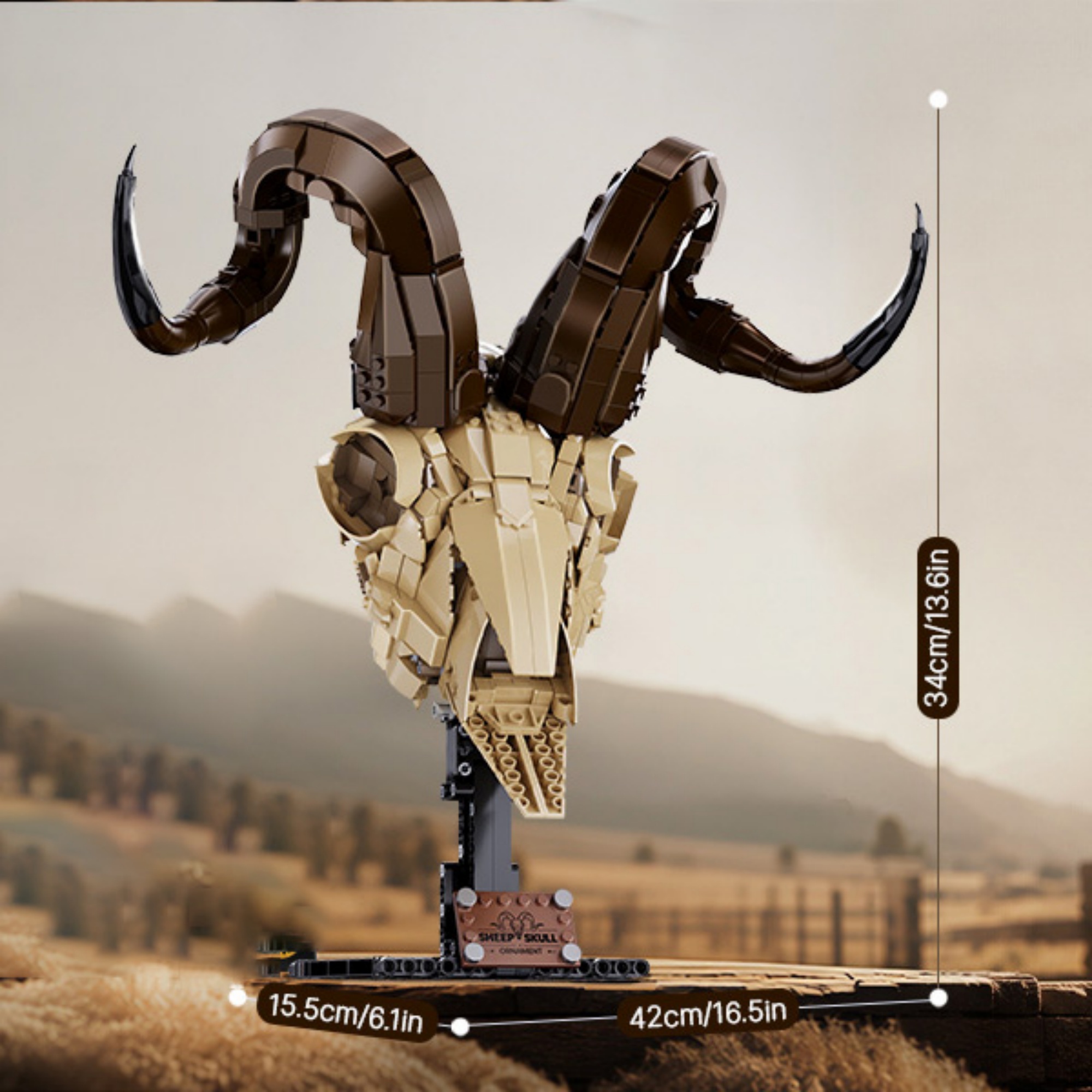 The Sheep Skull