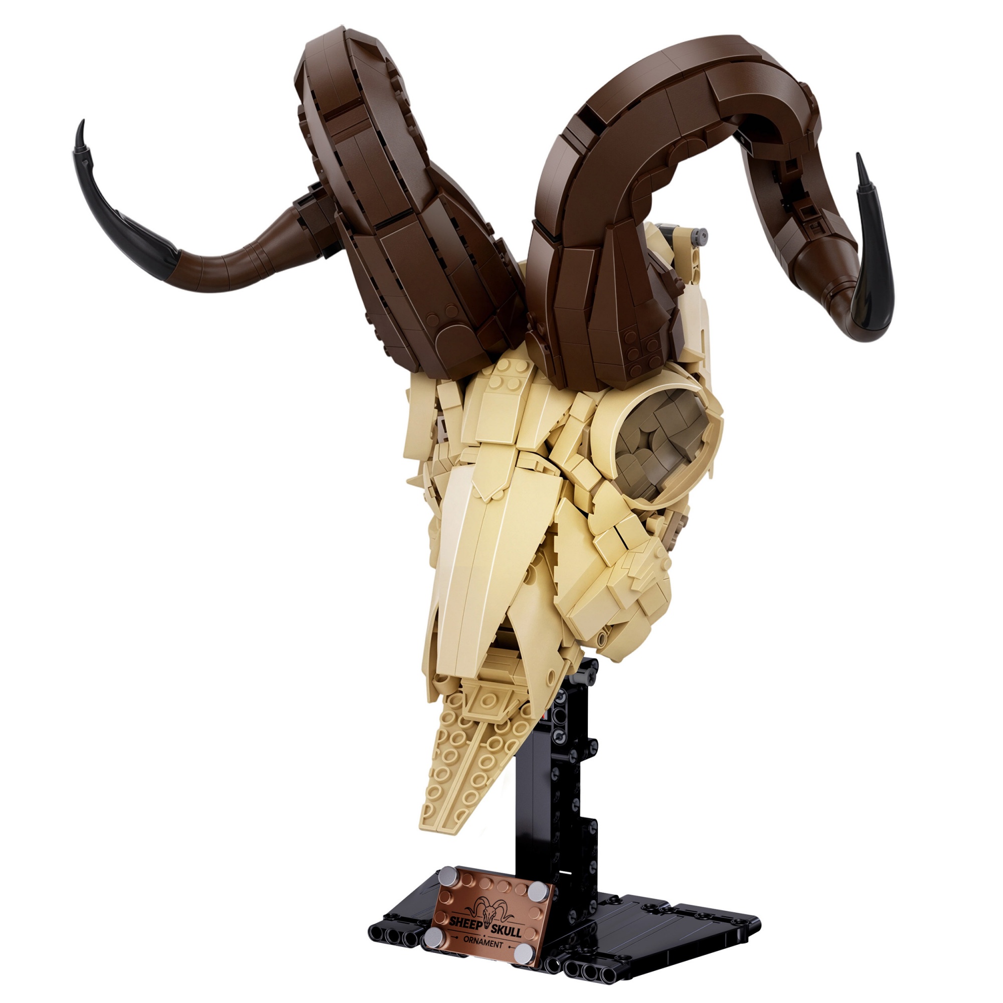 The Sheep Skull