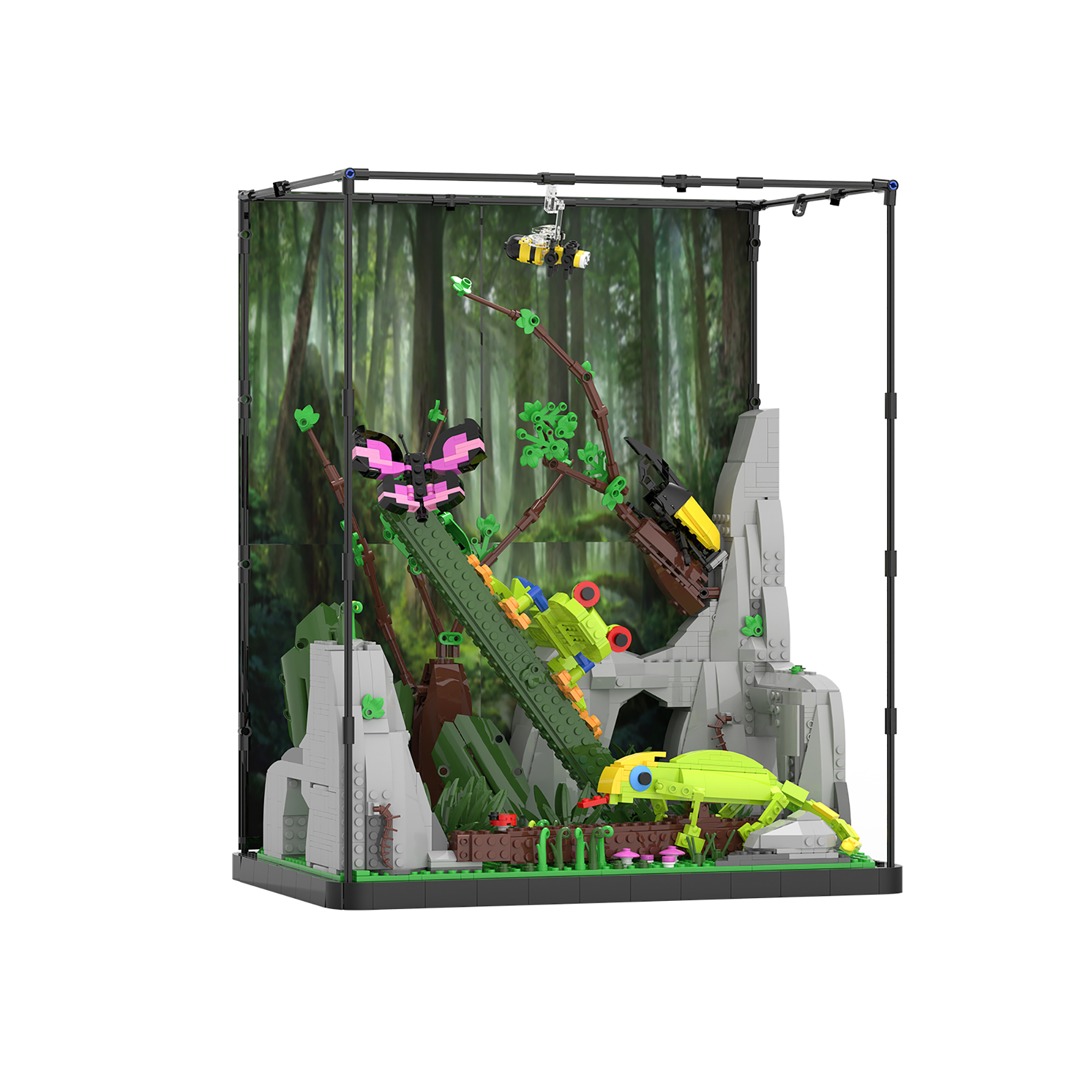 The Tropieal Raneorest-marstoy