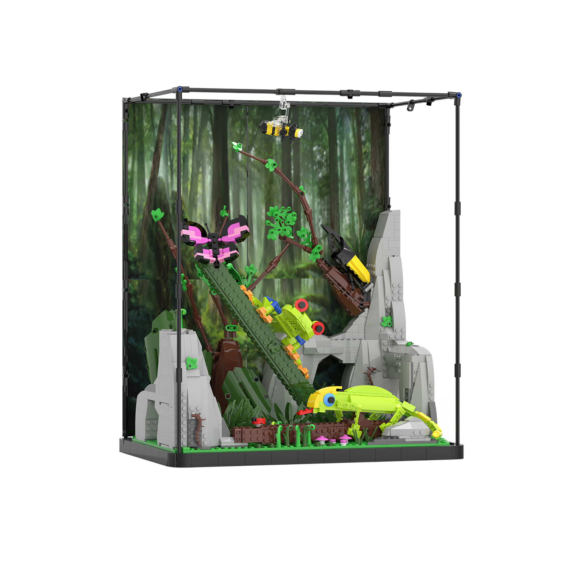 The Tropieal Raneorest-marstoy