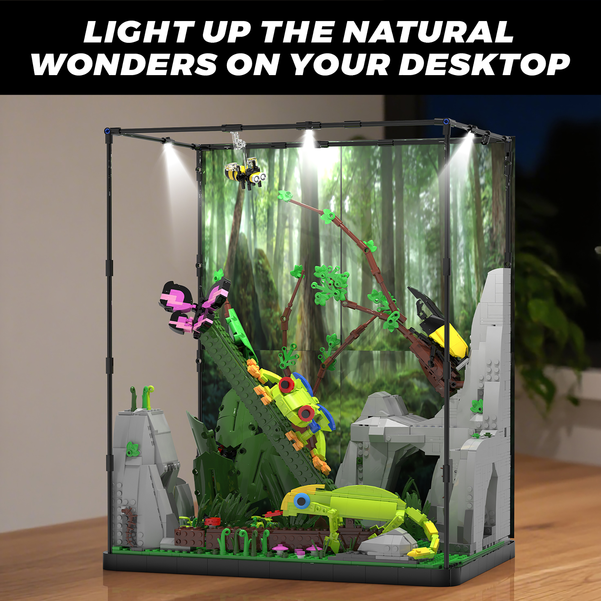 The Tropieal Raneorest-marstoy