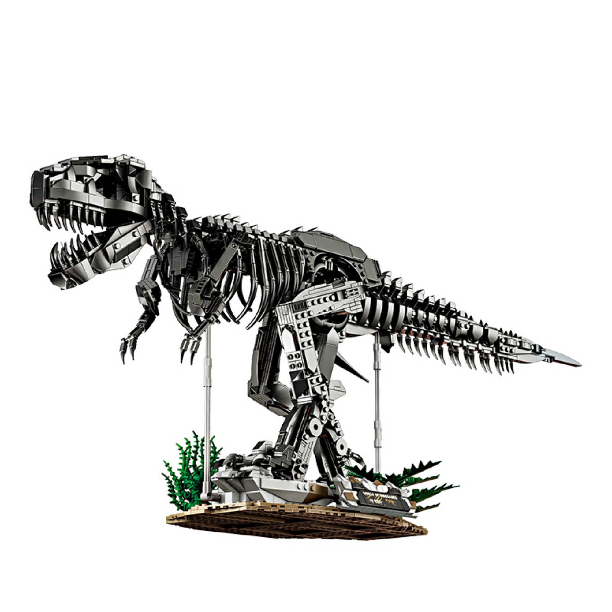 The Tyrannosaurus Rex