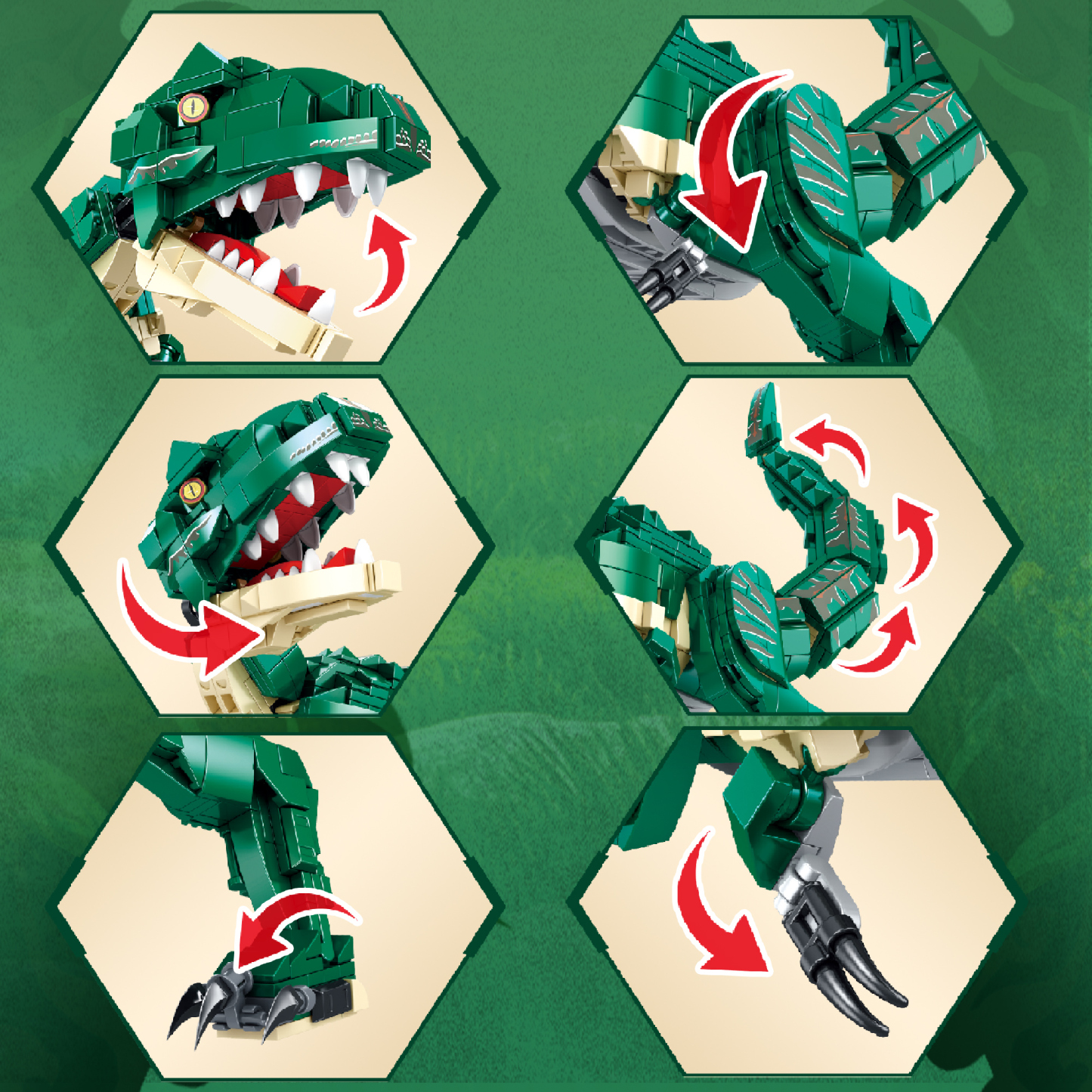 The Tyrannosaurus Rex