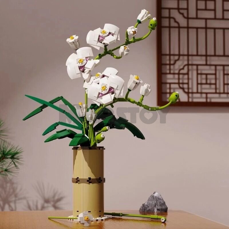 The Phalaenopsis Orchid-marstoy