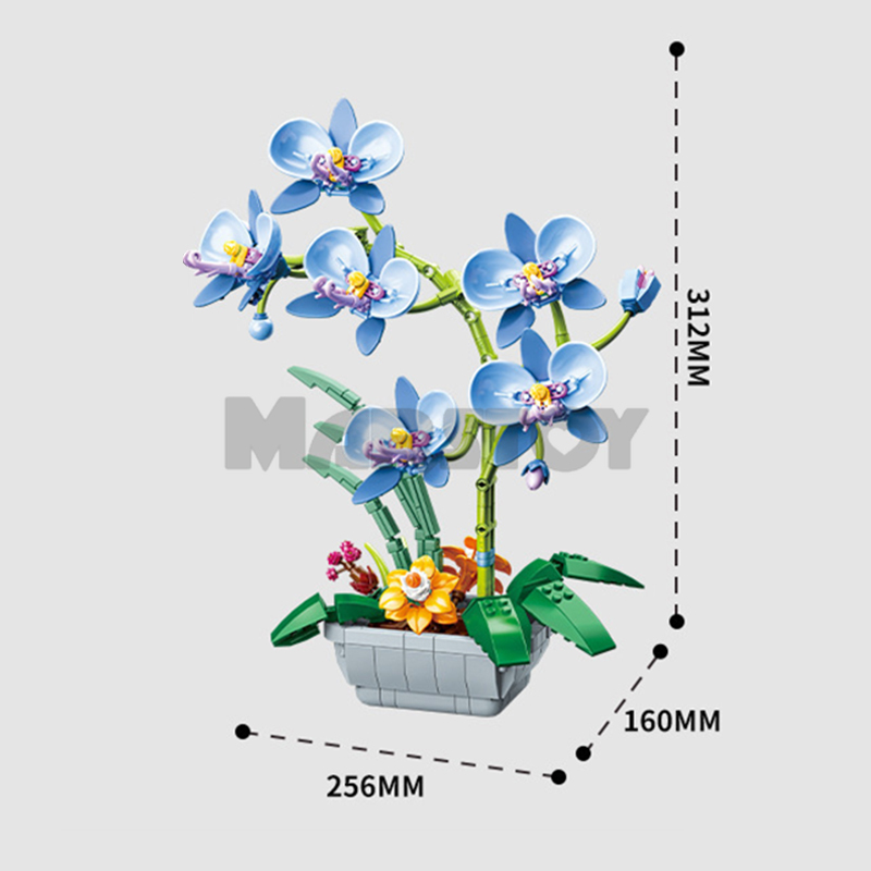The Phalaenopsis Potted Plant-marstoy