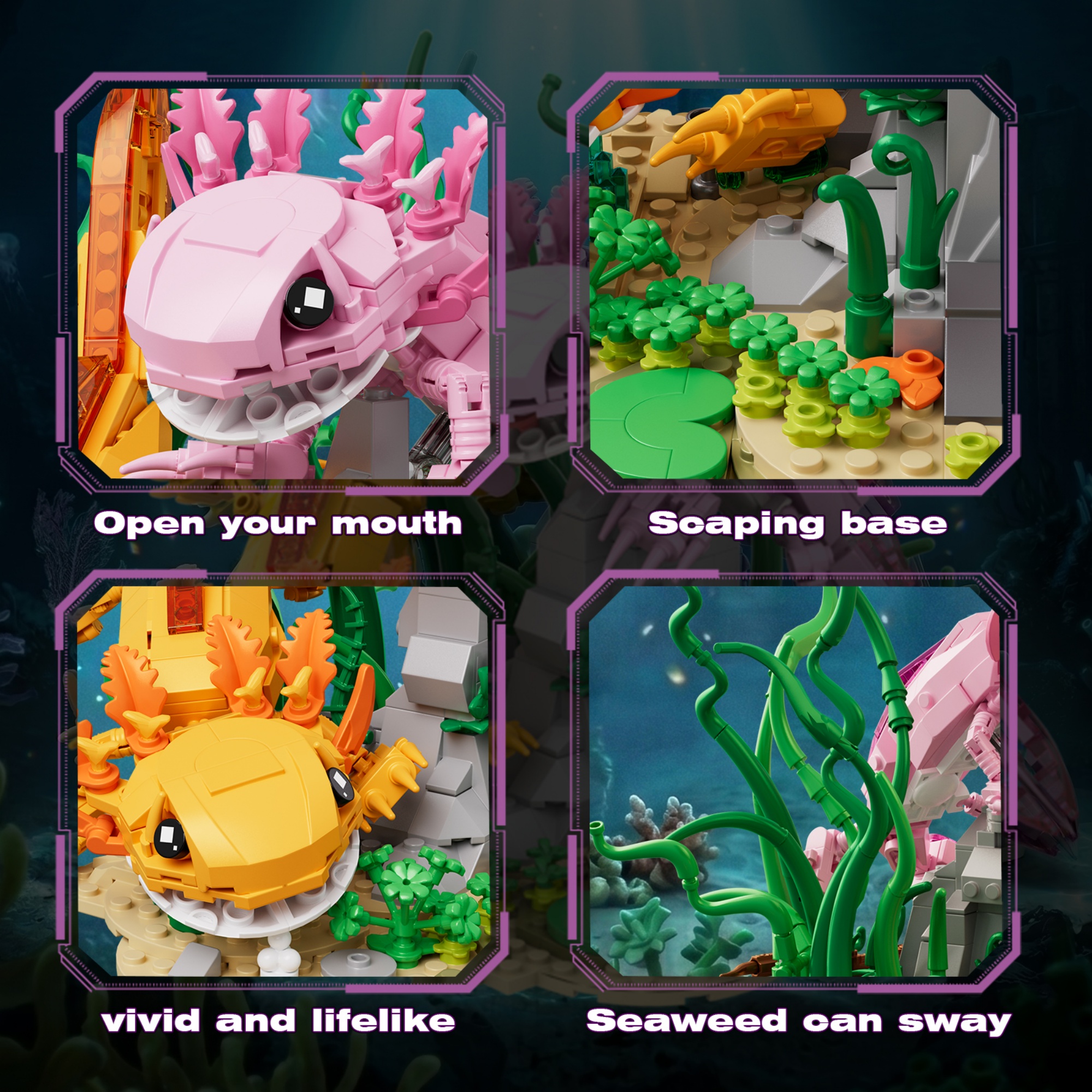 The Axolotl
