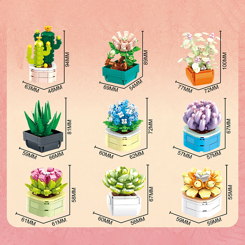 The Succulent Plants-marstoy