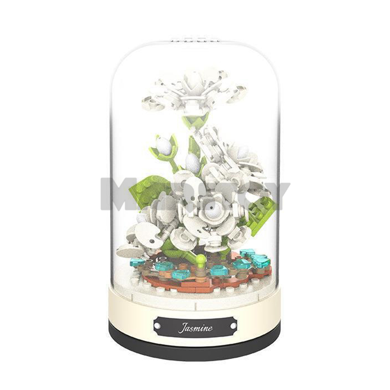 Everlasting Flower Jasmine-marstoy