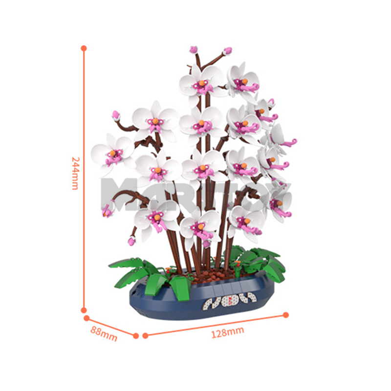 The Butterfly orchid-marstoy