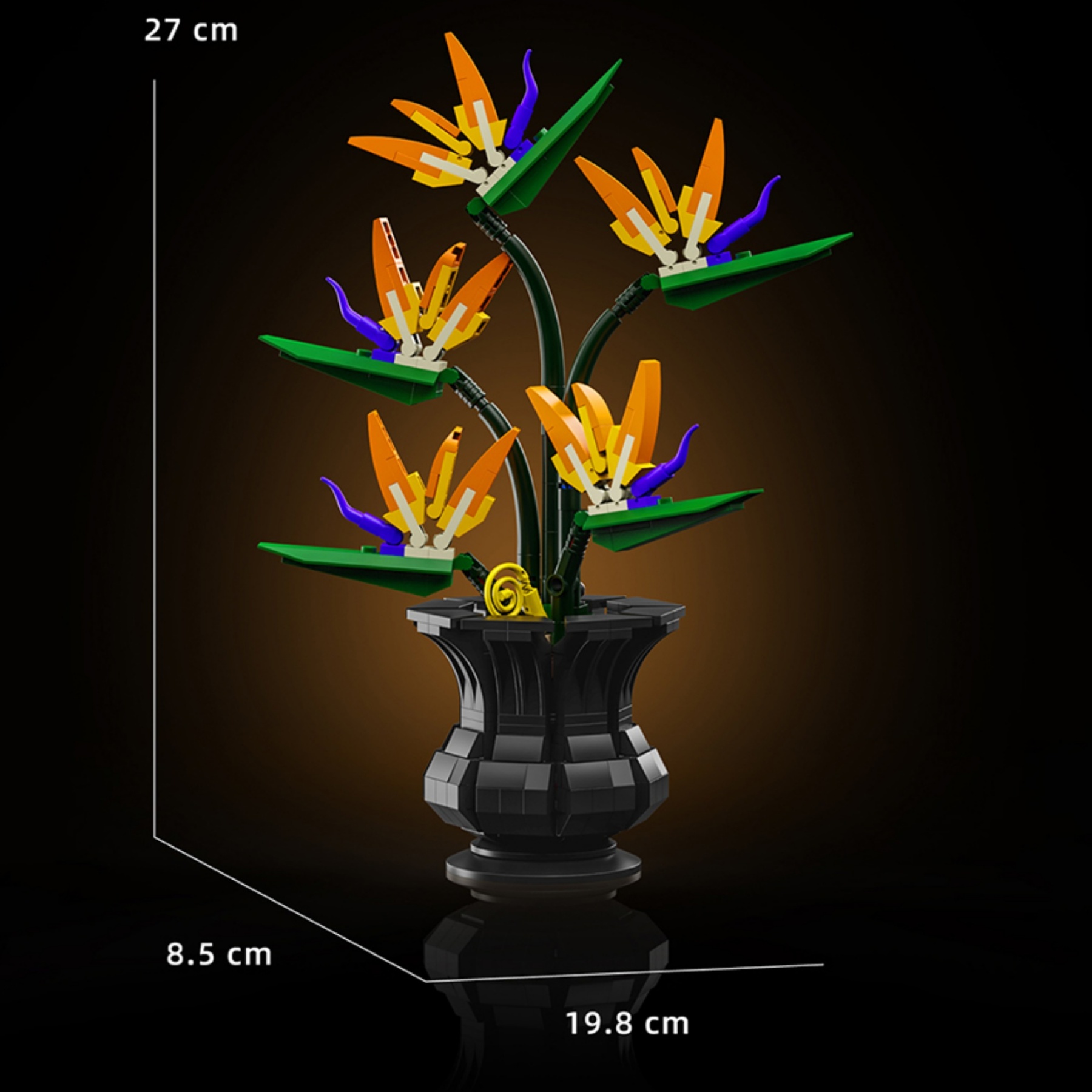 The Bird of Paradise