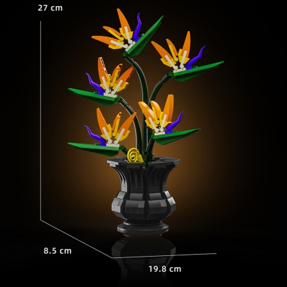 The Bird of Paradise