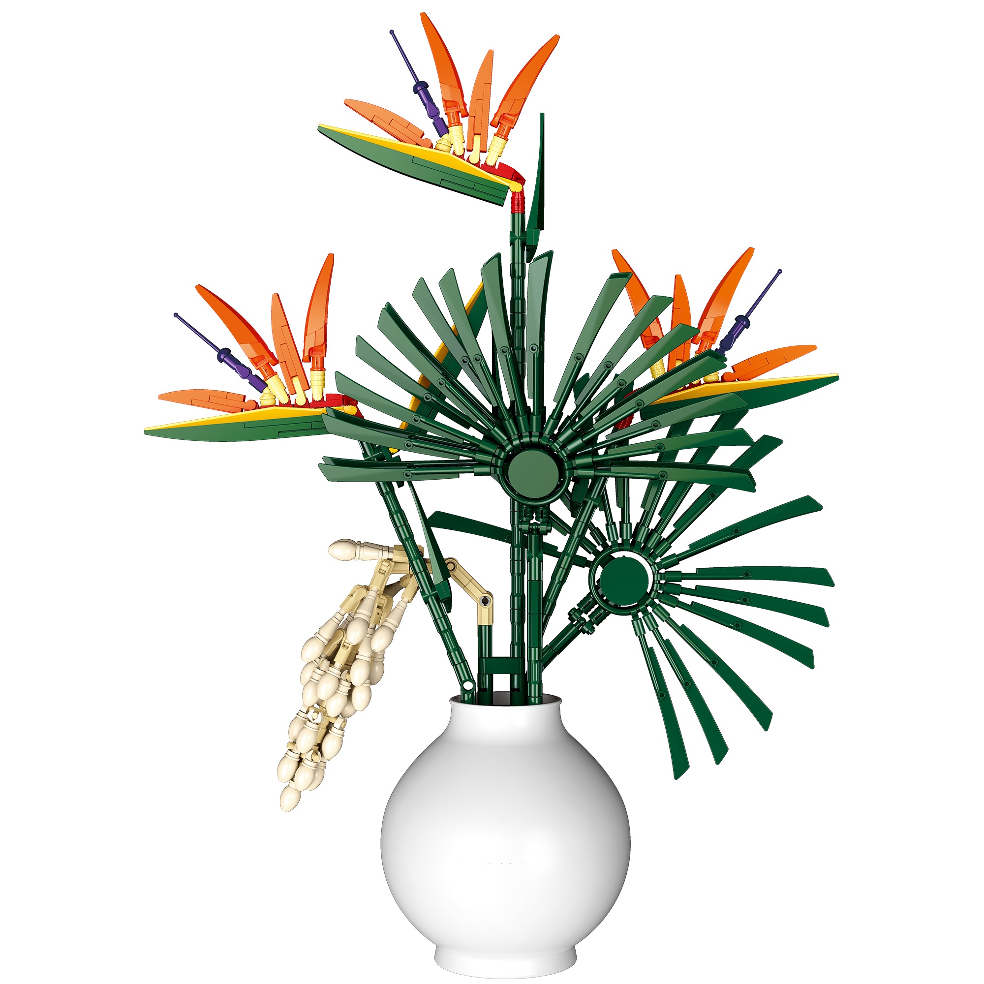 The Bird of Paradise