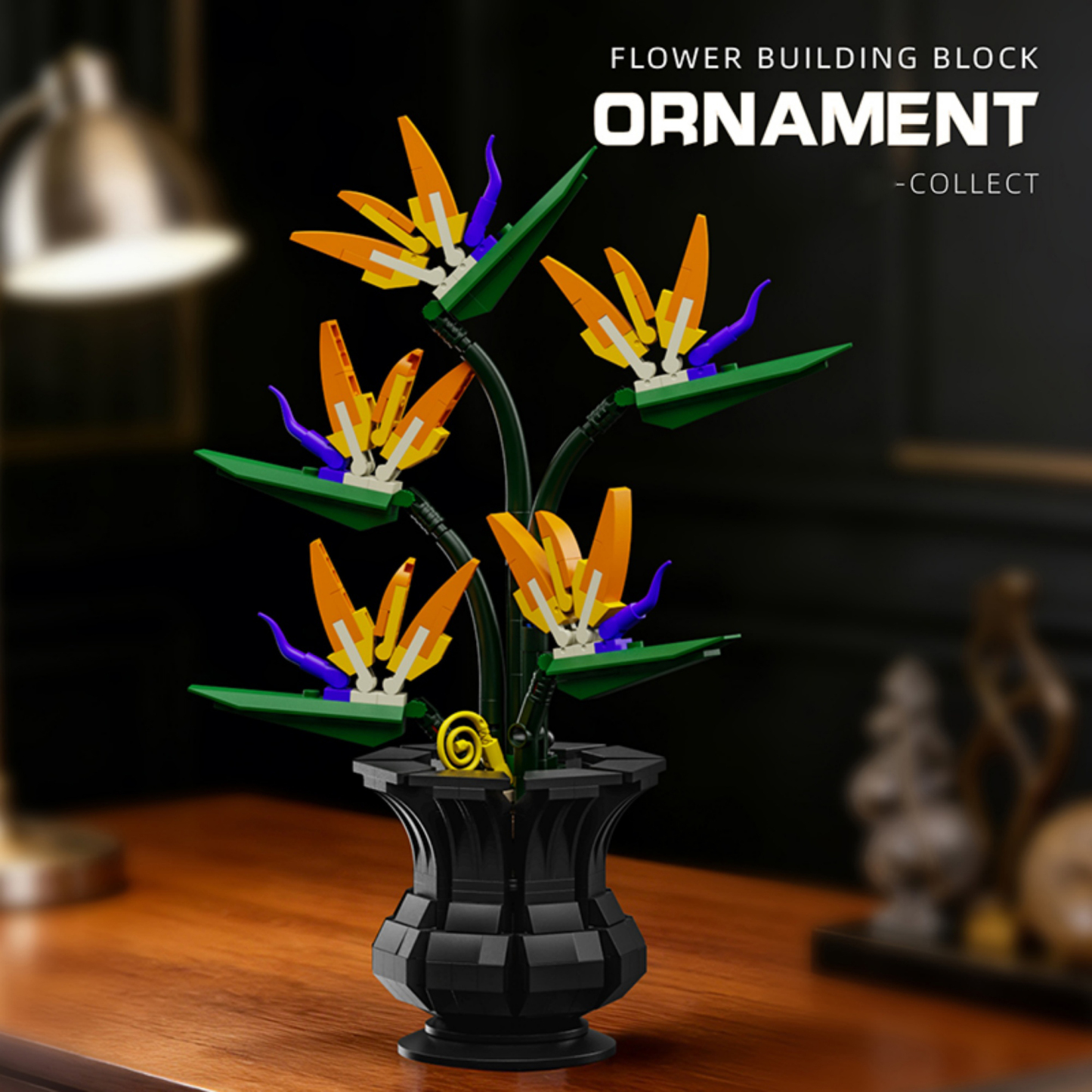 The Bird of Paradise