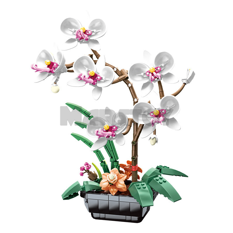 The Phalaenopsis Potted Plant-marstoy