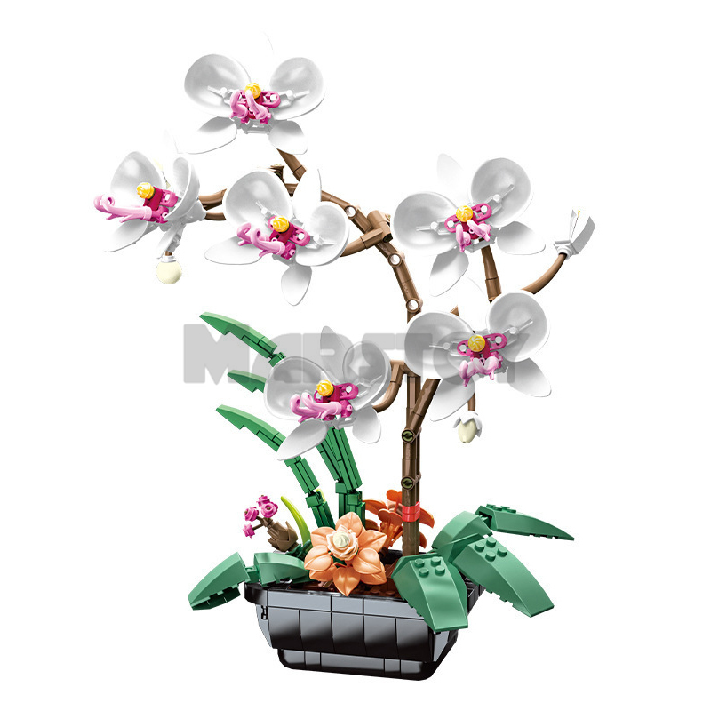 The Phalaenopsis Potted Plant-marstoy
