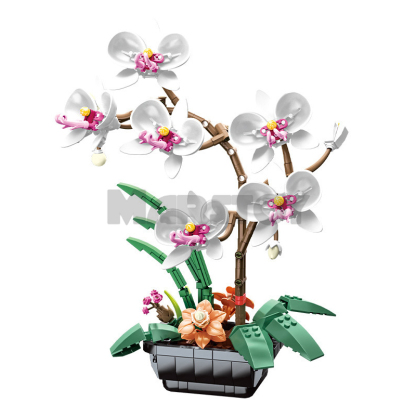 The Phalaenopsis Potted Plant-marstoy
