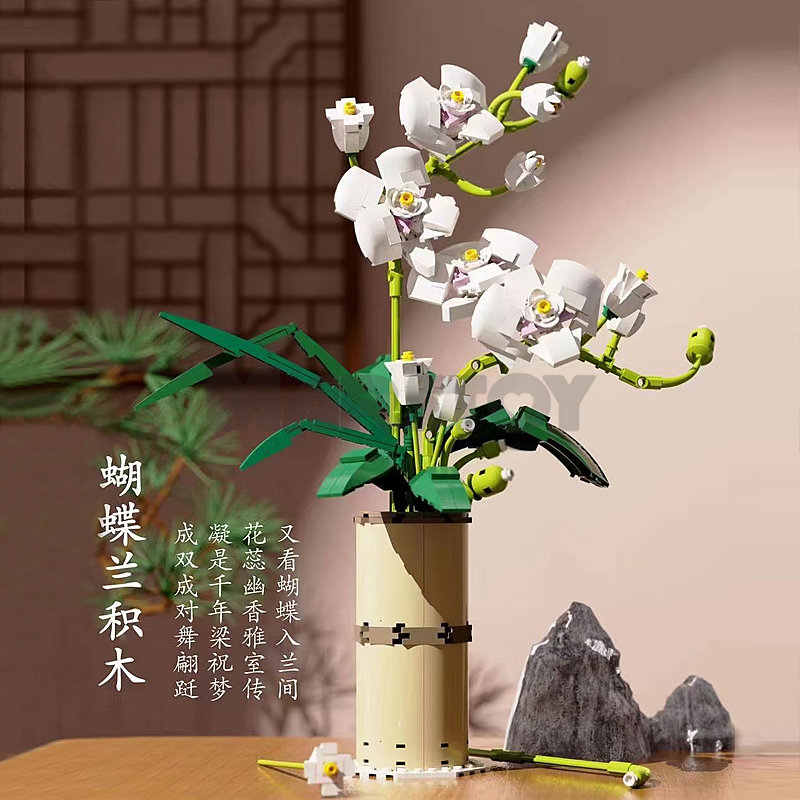 The Phalaenopsis Orchid-marstoy