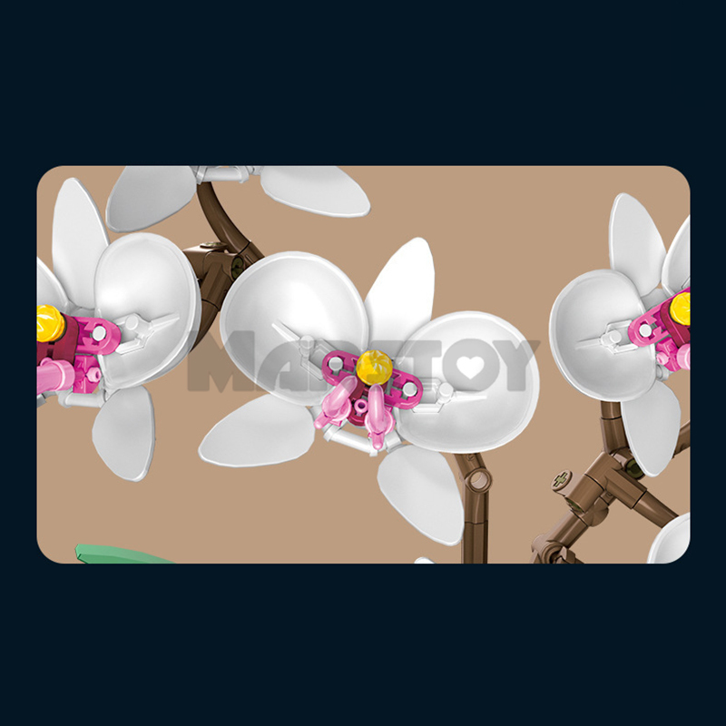 The Phalaenopsis Potted Plant-marstoy