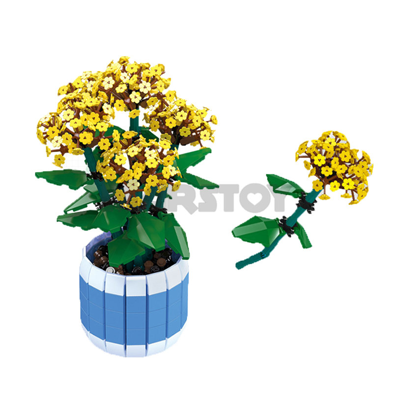 The Jonquile-marstoy