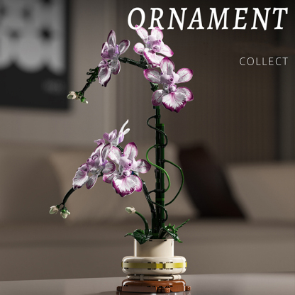 The Oncidium-marstoy