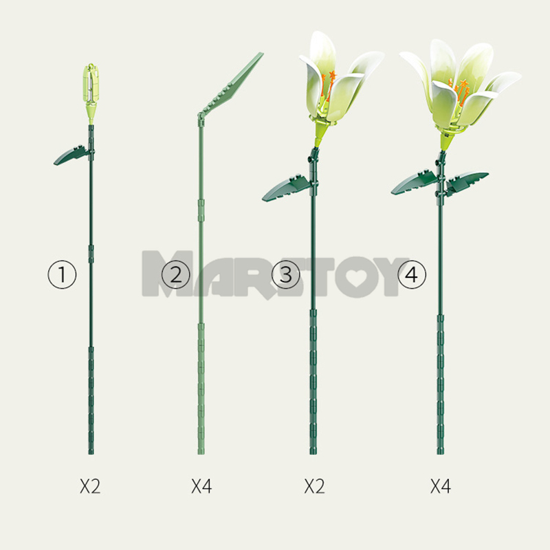 The Lily without Vase-marstoy