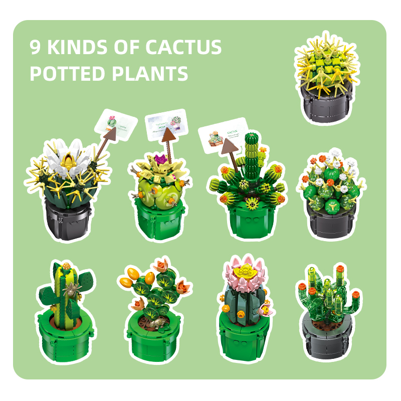 The Cactus-marstoy
