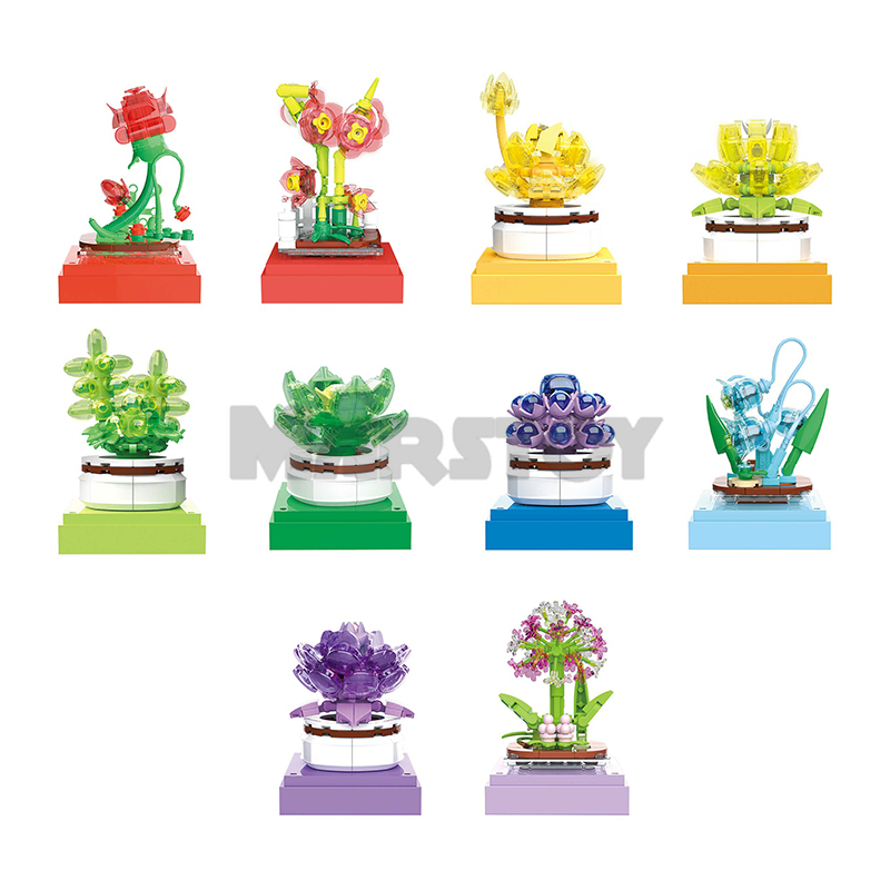 The Succulent Plants-marstoy
