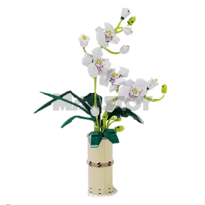 The Phalaenopsis Orchid-marstoy
