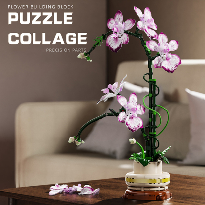 The Oncidium-marstoy