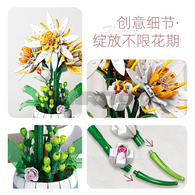 The Epiphyllum Bonsai-marstoy