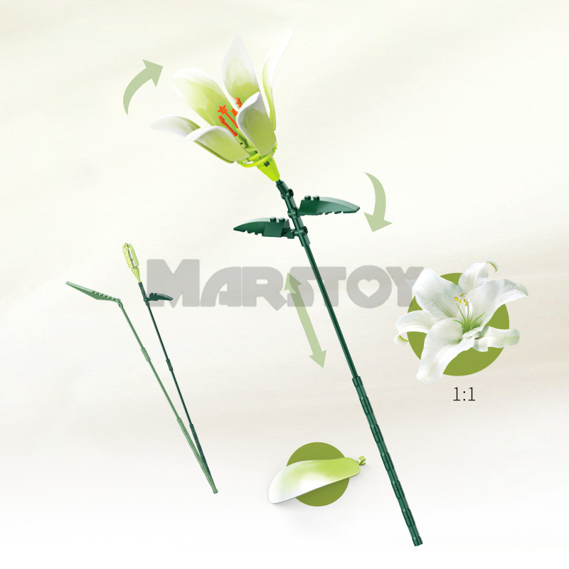 The Lily without Vase-marstoy