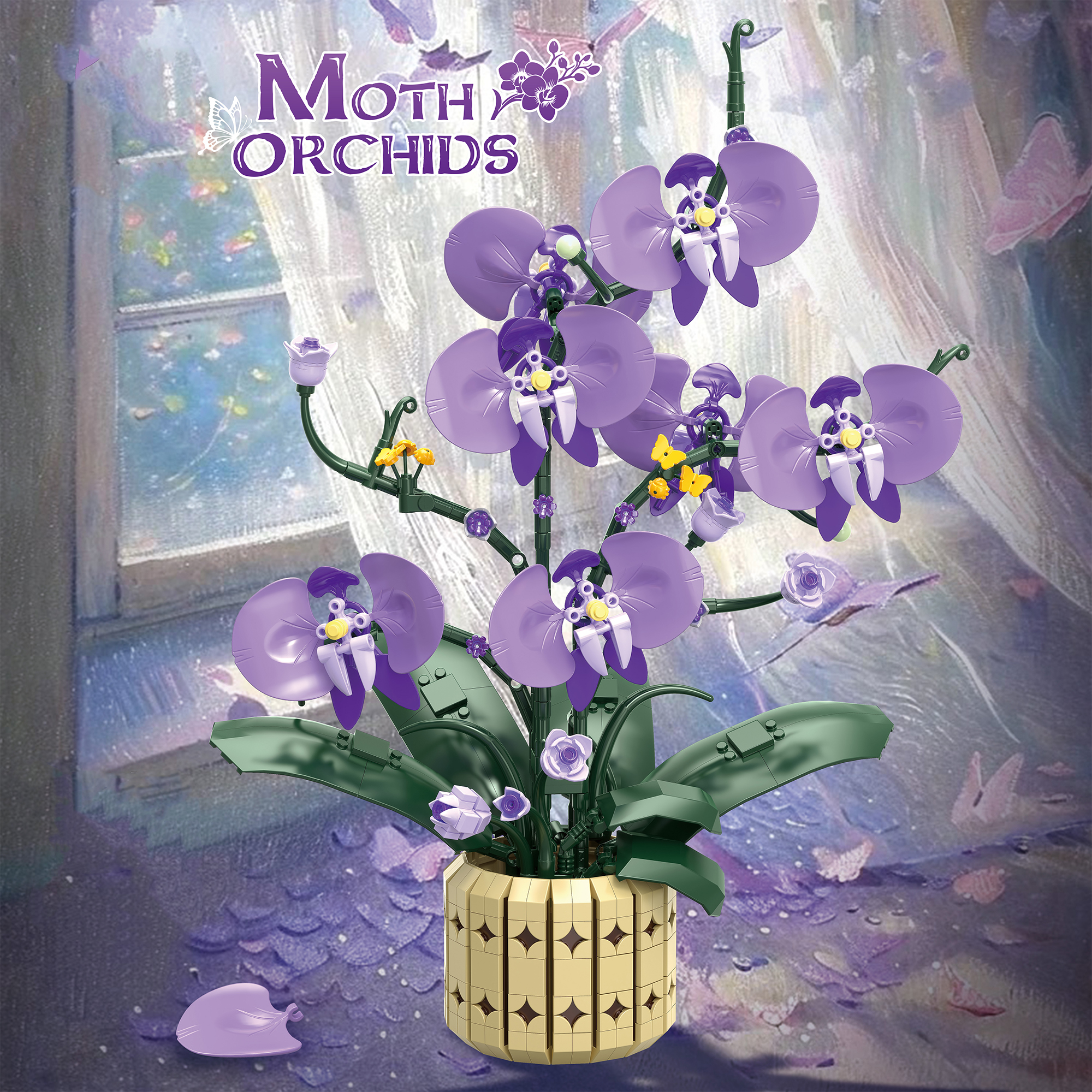 The Moth Orchids