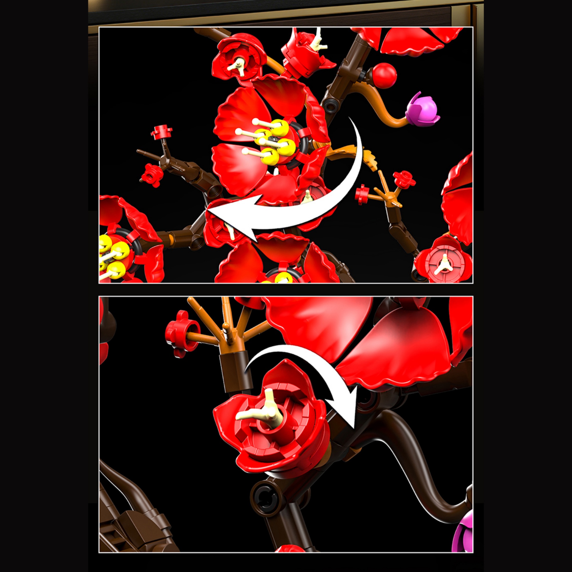 The Plum Blossom