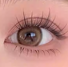 MJS006      พู่คาเมลเลีย      ขนตาปลอม
