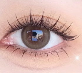 MJS007      ดอกทานตะวันปลายแหลม      ขนตาปลอม