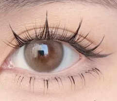 MJS008      นางฟ้านางเงือก      ขนตาปลอม