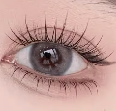 MJS024     เปลวไฟน้อยป่า      ขนตาปลอม