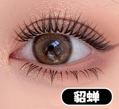 MJS026    เตียวฉานขนตาล่าง      ขนตาปลอม