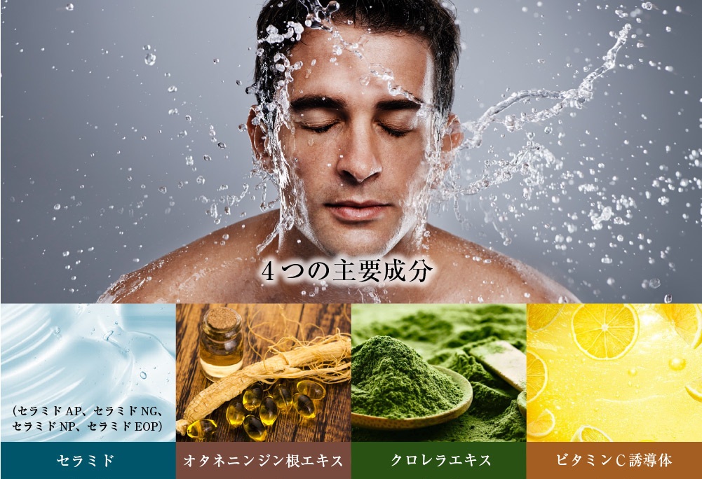 セラミド、オタネニンジン根エキス、クロレラエキス、ビタミンC誘導体が主要成分