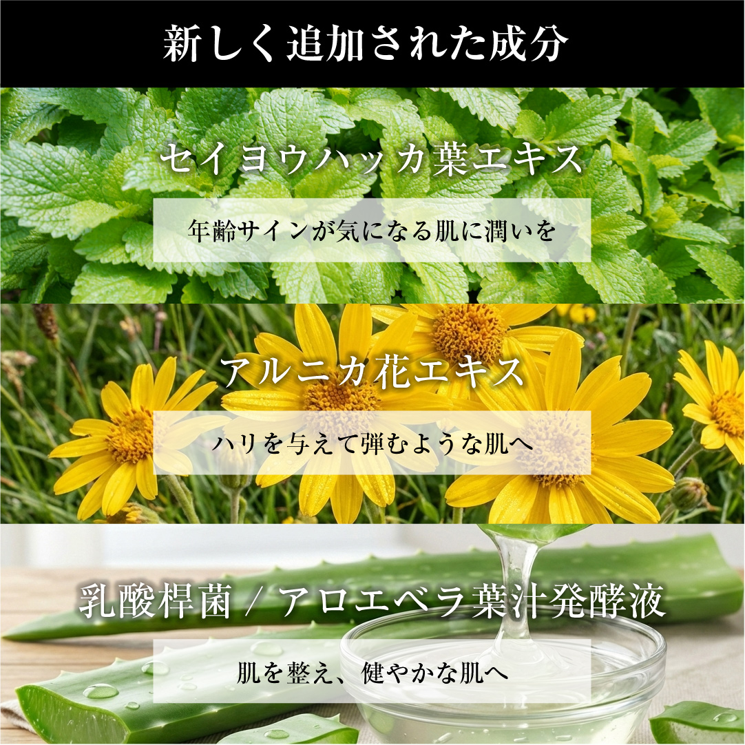 【NEW】メンズ オールインワン美容液 nine face SEC ナインフェイス 100ml 1本(約2カ月分)30日間全額返金保証