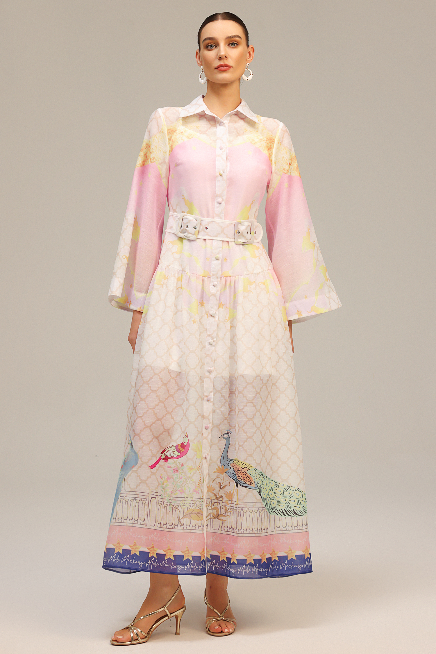 Heloise Long Sleeves  Floral Printed Maxi Dress