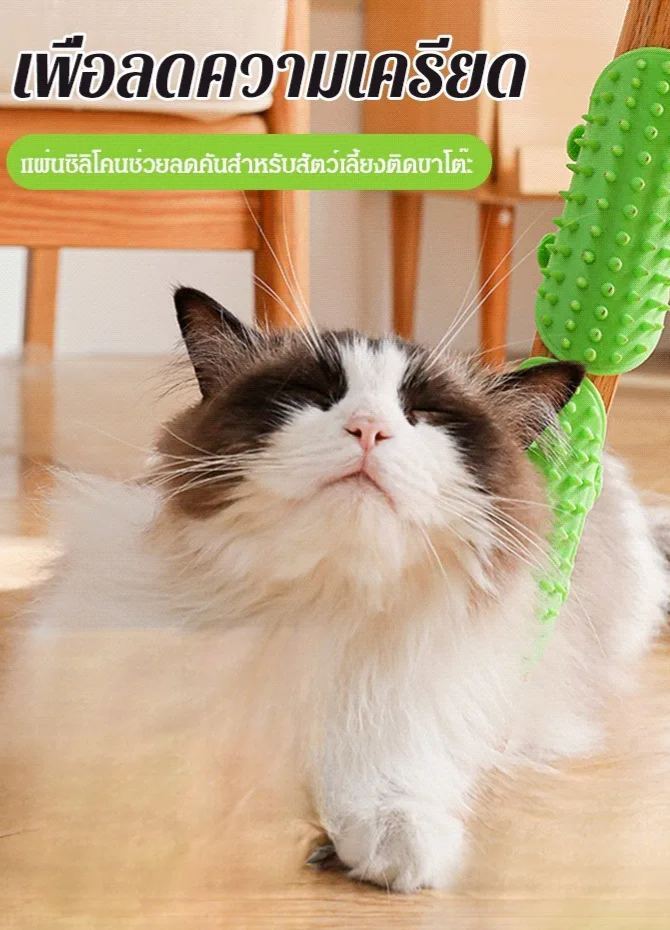 แผ่นซิลิโคนช่วยลดคันสำหรับสัตว์เลี้ยง