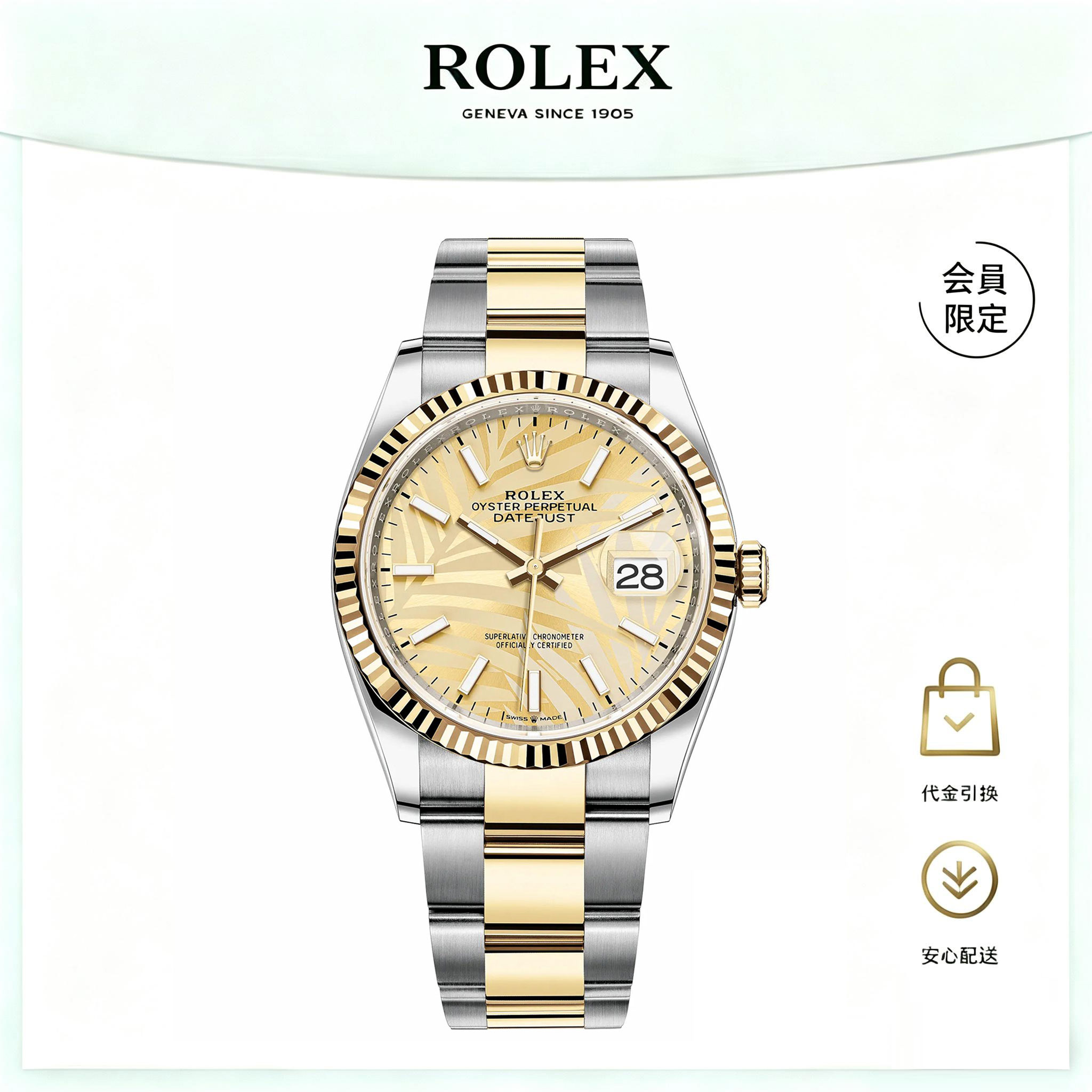 デイトジャスト 36 オイスター 36 mm オイスタースチール＆イエローゴールド