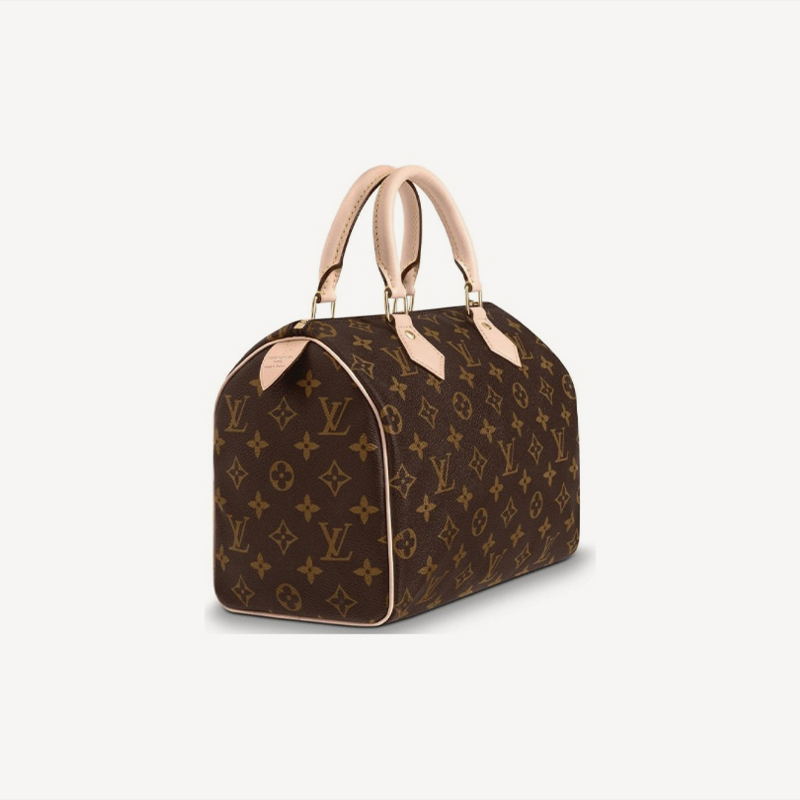LOUIS VUITTON スピーディ 25 Ref:M41109