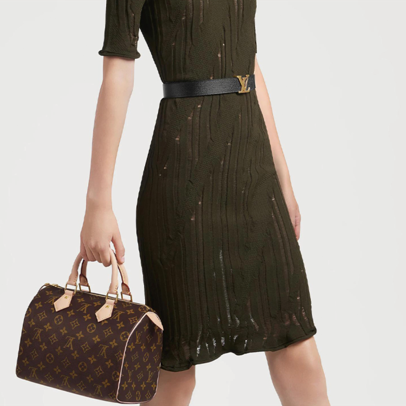 LOUIS VUITTON スピーディ 25 Ref:M41109